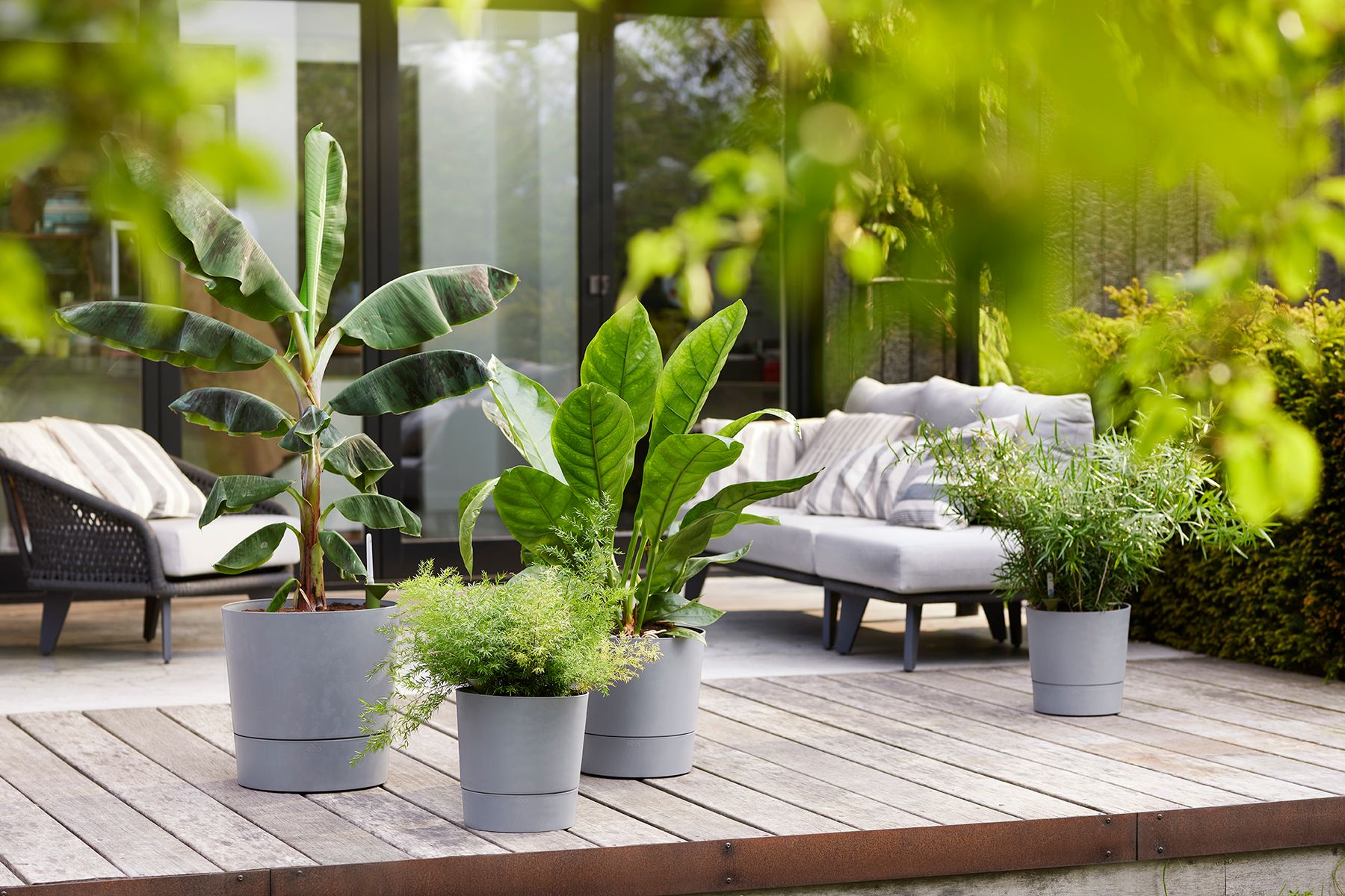 greensense aqua care