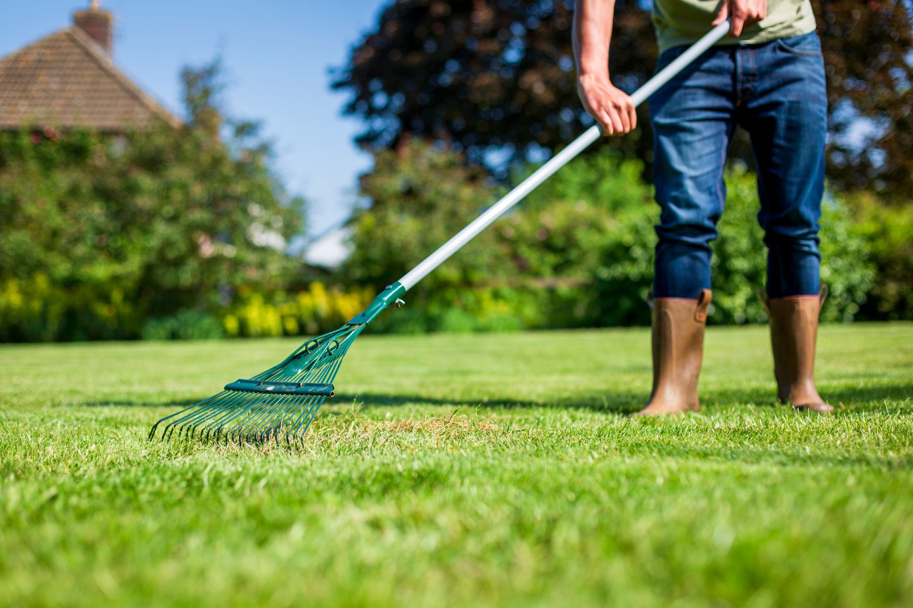 Lawncare lifestyle image by SBM Life Science