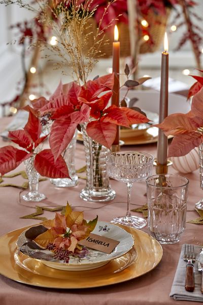 2022_poinsettia_04000_Christmas_Fairy_Tale_04.jpg
