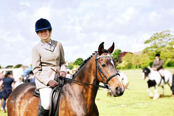 Andalusian Mare + Rider