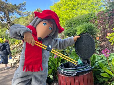 Orinoco doing what Wombles do best at the Heights.jpeg