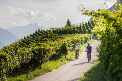 Bike (1).jpg