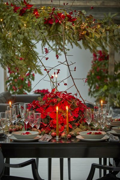 2022_poinsettia_02000_Urban_Loft_Christmas_36.jpg