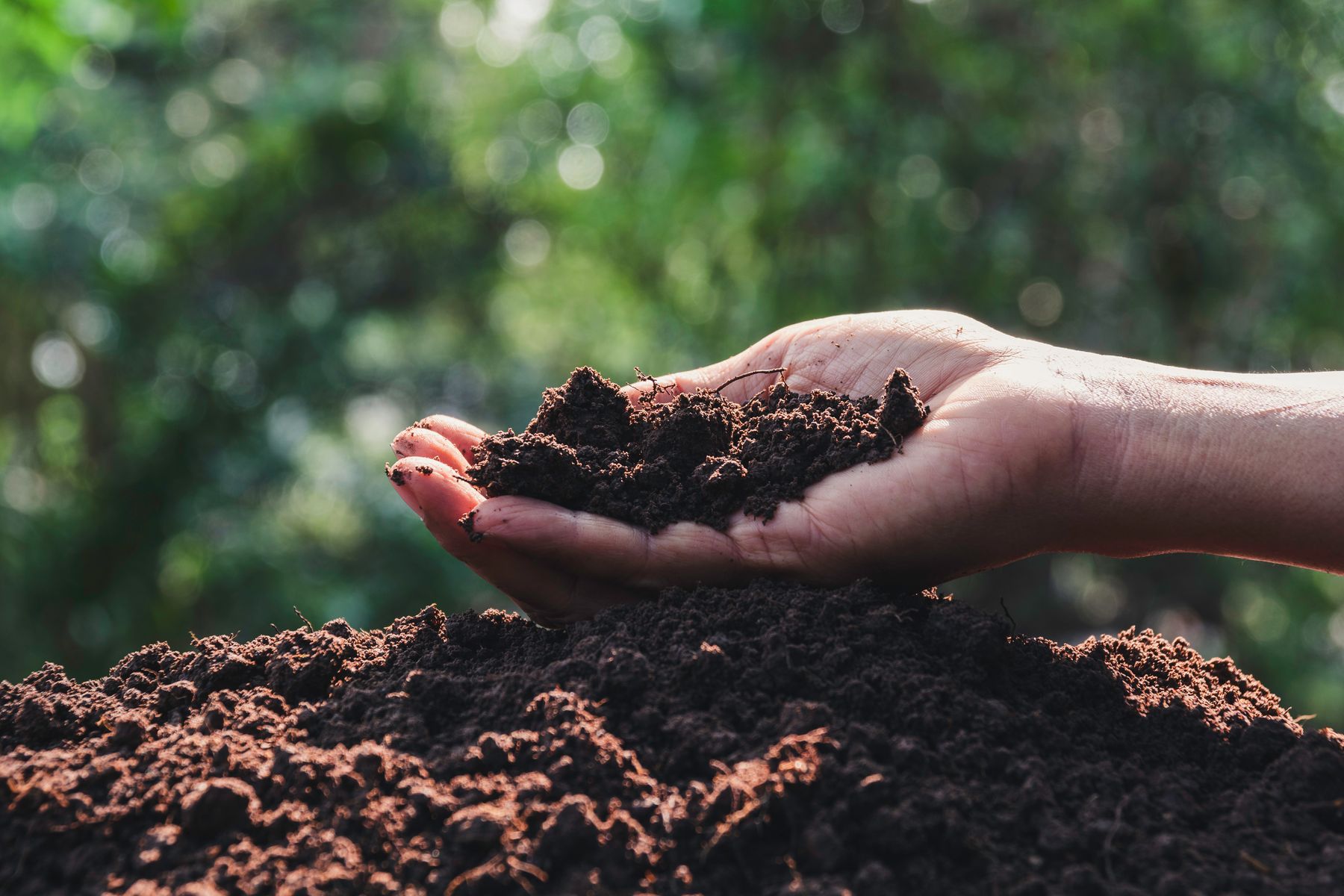 Handful of soil 