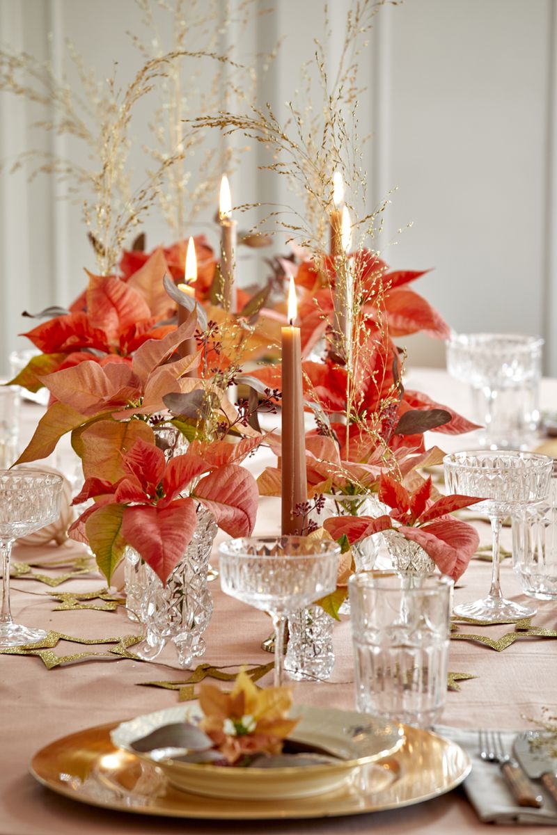 2022_poinsettia_04000_Christmas_Fairy_Tale_23.jpg