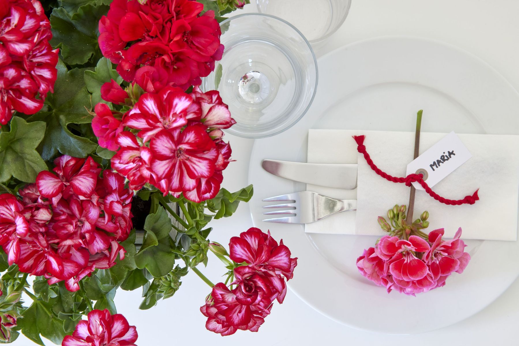 2023_Geraniums_5000_Vibrant_Amber_Florals_18.jpg