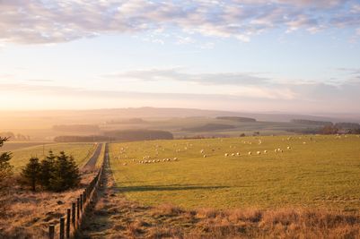 Scottish Borders_Landscapes (2).jpg