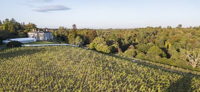 Leonardslee House and Vineyard.jpg