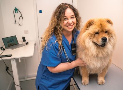 Copy of Aida Ferreira, Veterinary Surgeon at Joii Pet Care.jpg