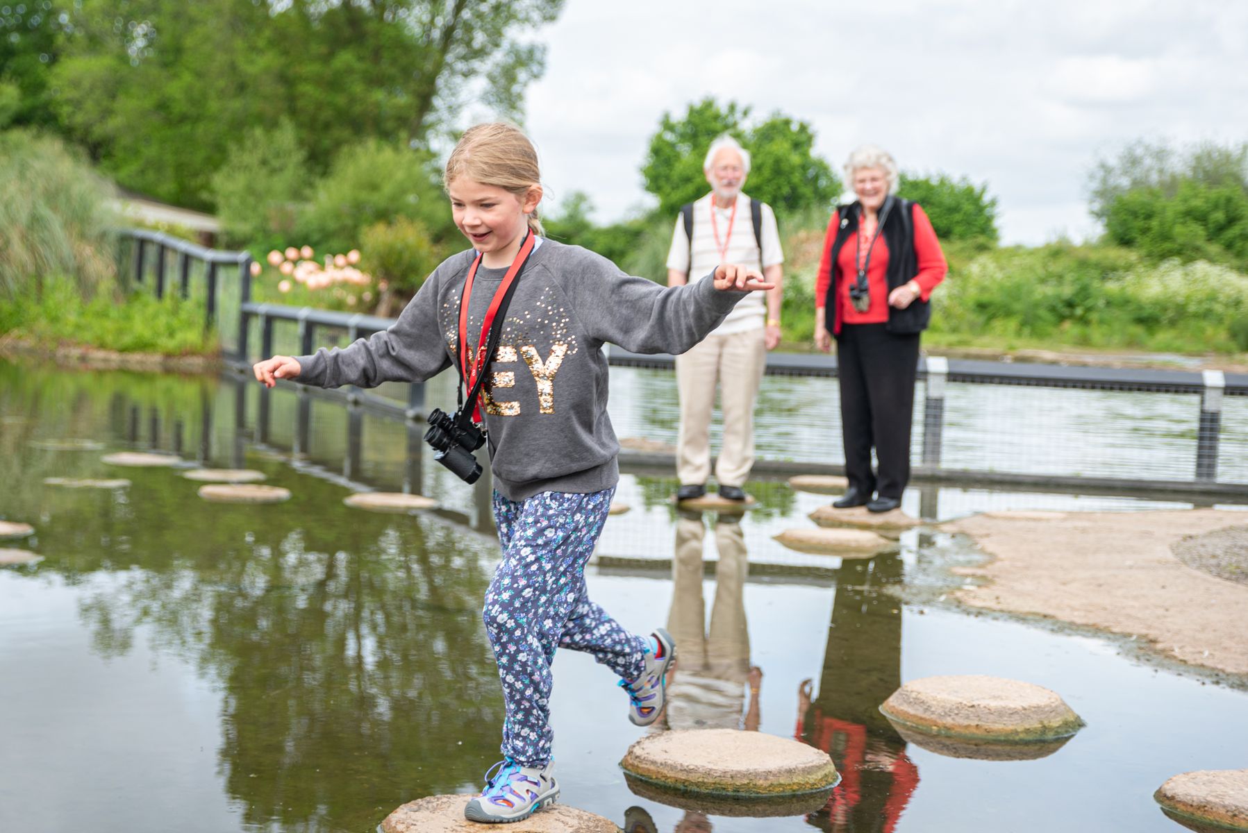 WWT Slimbridge 2.jpg