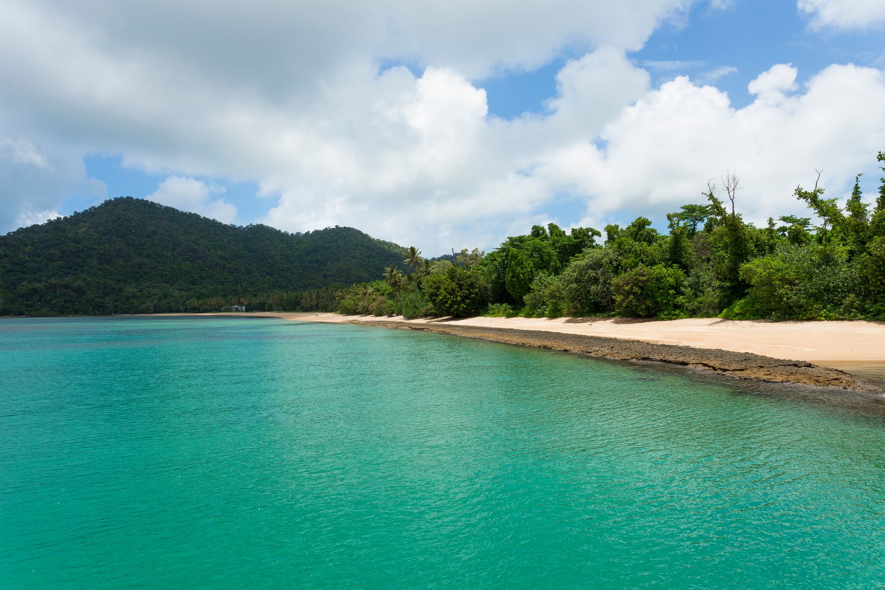 Dunk Island (1) credit TTNQ.jpg
