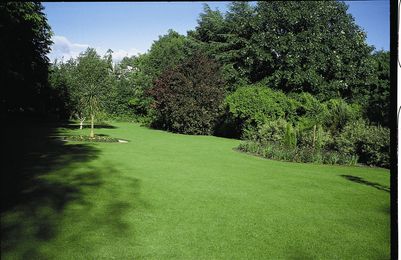 Johnsons Lawn 2.jpg