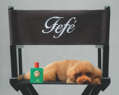 Dolce&Gabbana Fefé