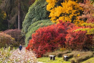 Leonardslee