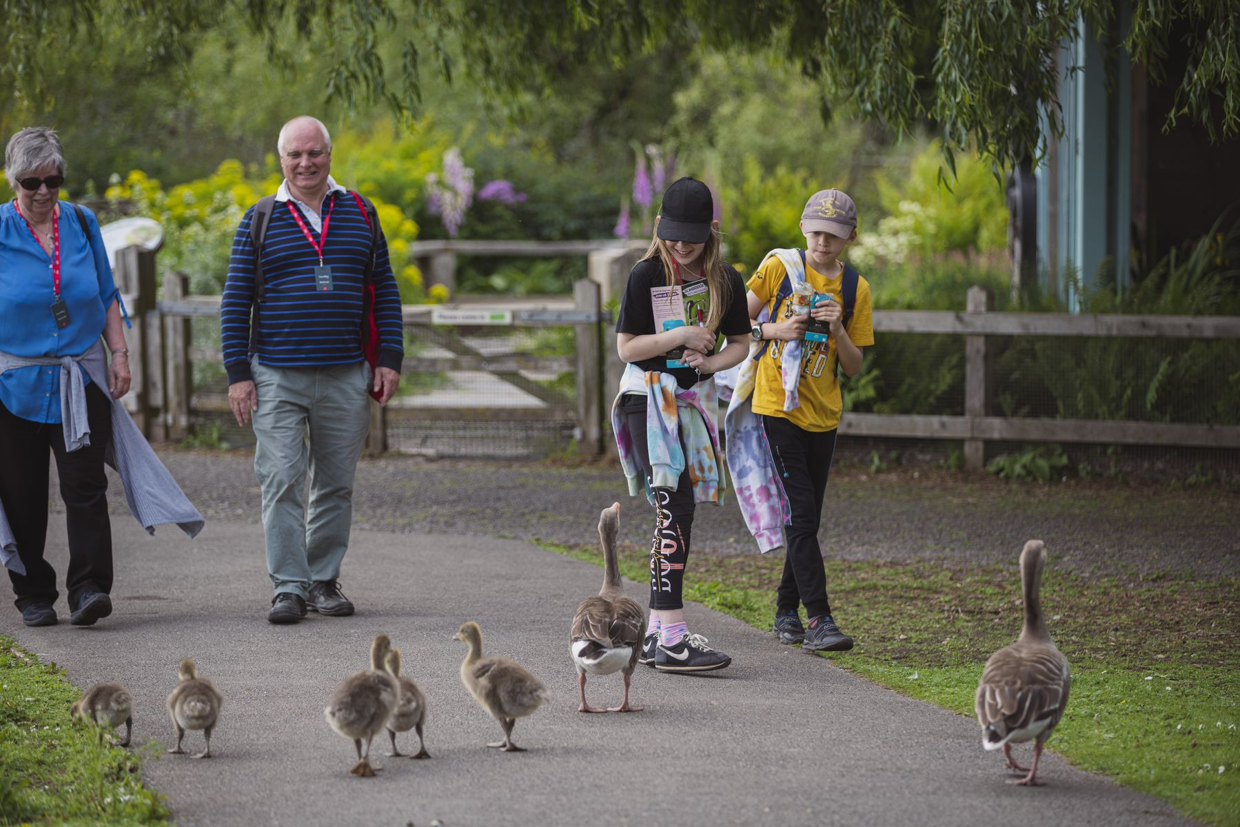 WWT Slimbridge, Boundless