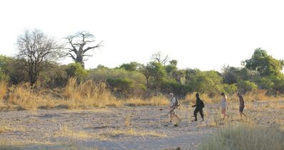 P_Asilia Lodges & Camps_Tanzania_Ruaha National Park_Jabali Private House_Activities_Walking Safari_.jpg