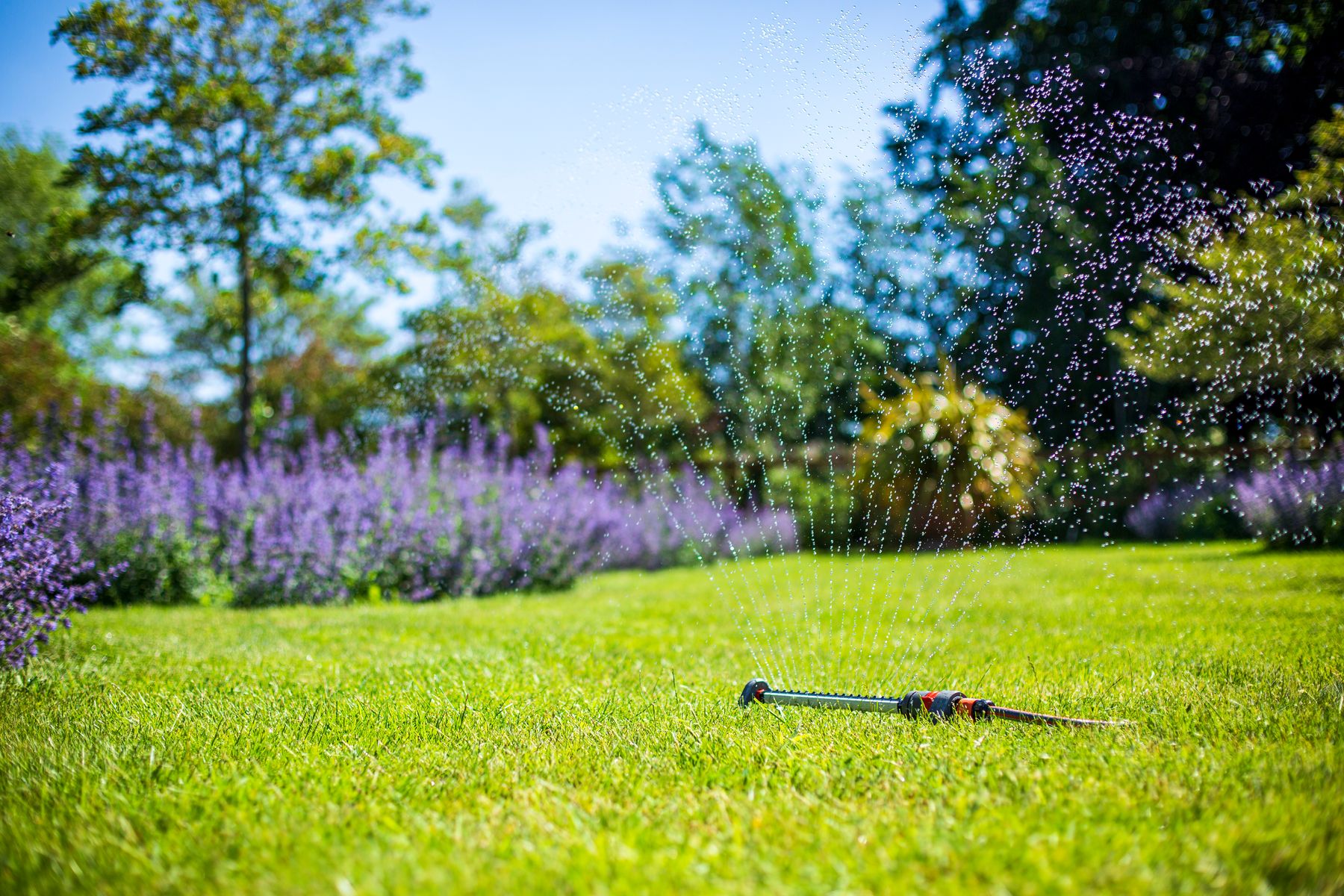 Lawncare lifestyle image by SBM