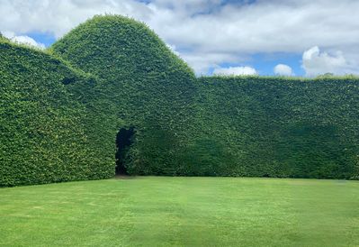 The huge Beech Hedge encircling the Beech Circle at Levens Hall and Gardens, Cumbria