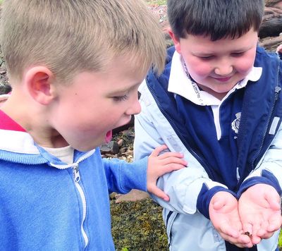 FSC Millport gets ready to welcome Scottish school children.jpg