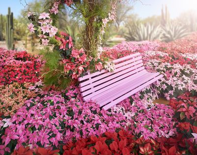 2020_poinsettia_06000_Christmas_floral_creativity_22.jpg
