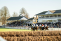 251123 DCOOL WINDSORRaces-58.jpg