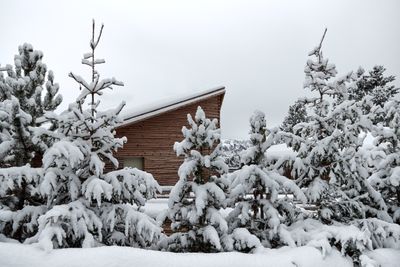 OdlesLodge-Nature-Winter-©Odles Lodge_Konstantin Volkmar (19).jpg