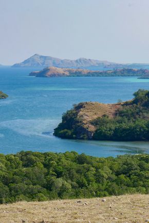 Raja Ampat Moluccas Selective Asia 1.jpg