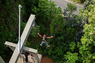 Rainforest Wild Asia - Adventure+ - Participant leaping of the Canopy Jump (2). Photo Credit_Mandai Wildlife Group.JPG