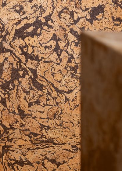 Cork walls.jpg