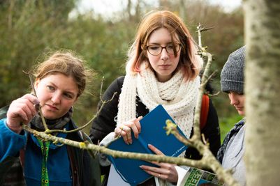 Trees for Climate Action (1).jpg