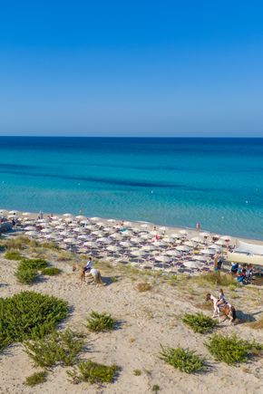 DJI_20240709082340_0132_D.jpg