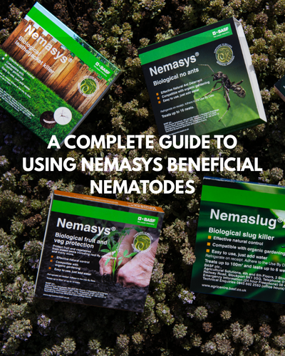 Nemasys Best Practice Guide.pdf