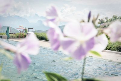 Pool mit Panorama durch Blumen (c) Frieder Blickle.jpg