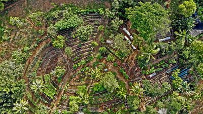 Aerial picture of Nikoi's permaculture farm on Bintan.jpg