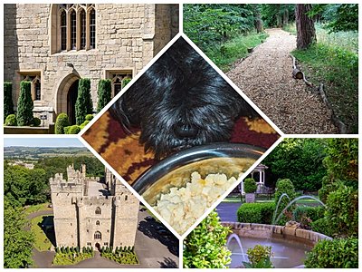 'George' enjoy his Poochy Dejeuner at Langley Castle Hotel,
