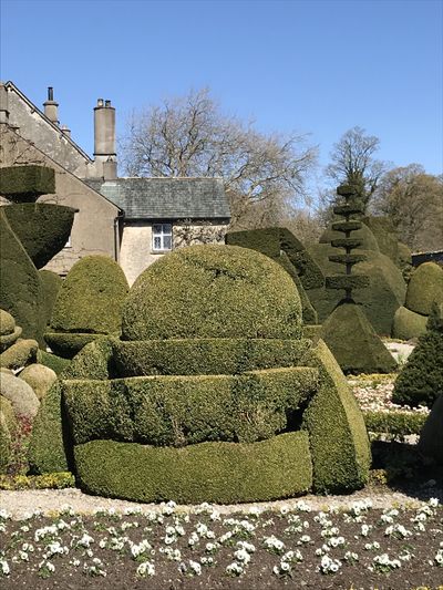 Topiary at Levens Hall, Cumbria, UK