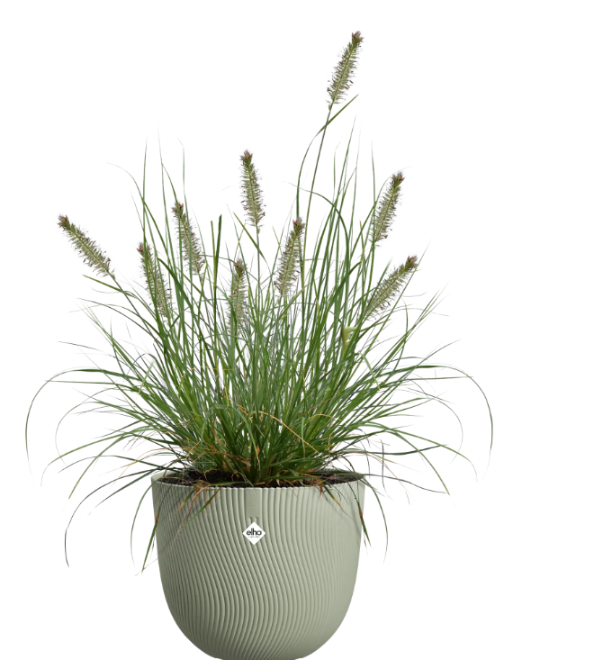 elho sereh pot round .png