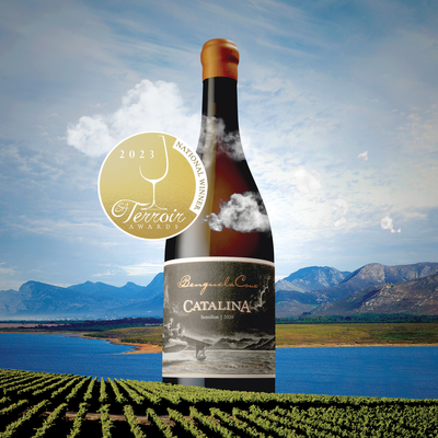 c7-Terroir-2023-Catalina.png