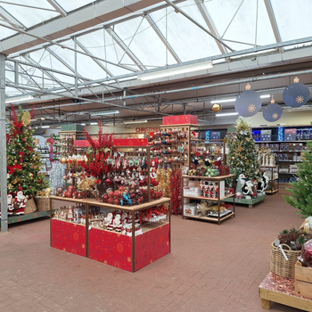 Hillier Garden Centres and Nurseries - Christmas 2024