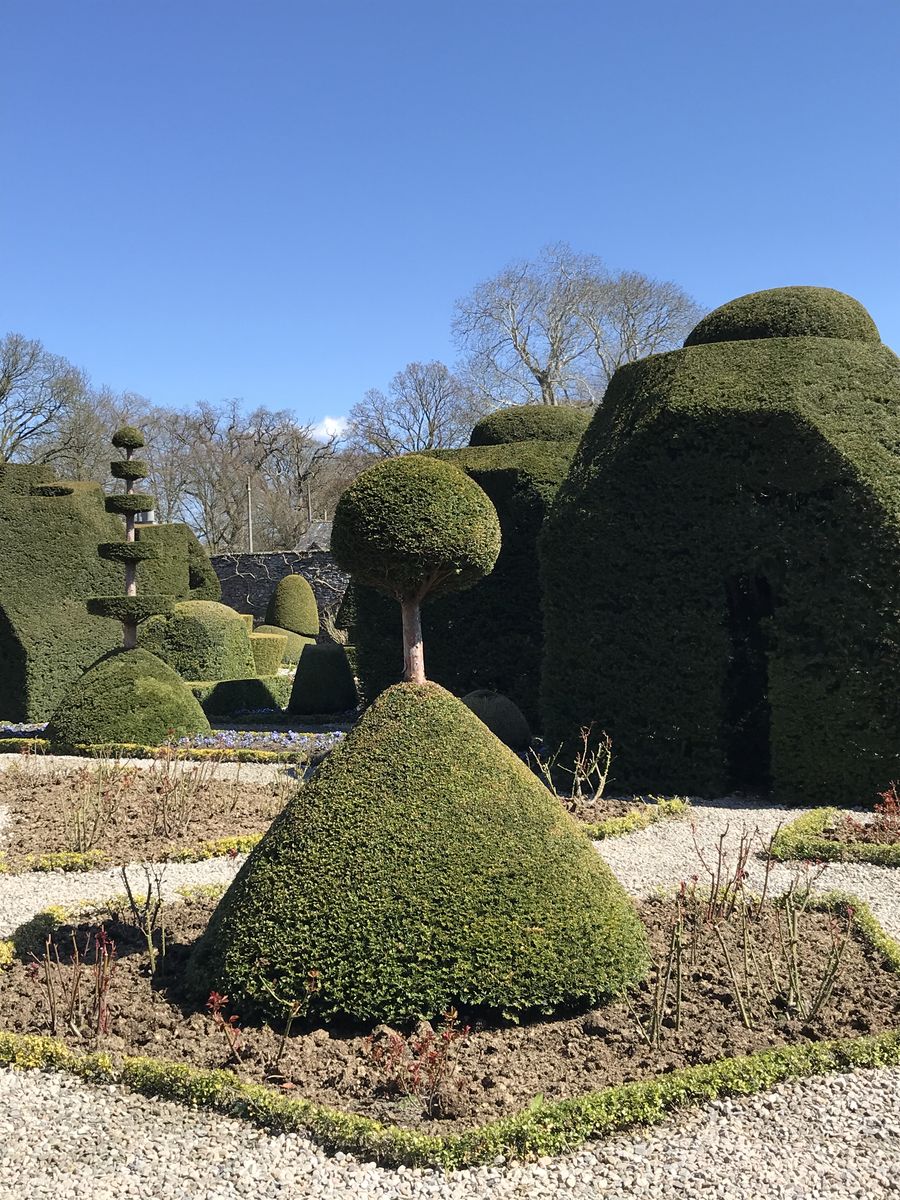 Topiary at Levens Hall, Cumbria, UK