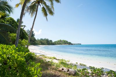 lemuria-seychelles-2019-jt-beach-01_hd.jpg