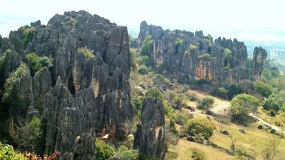 Stone Forest (10).jpg