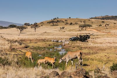Game drive on the river 1.jpg