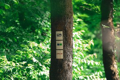 Lee-Trail-2025-LPB03-©Leptitbaroudeur.jpg