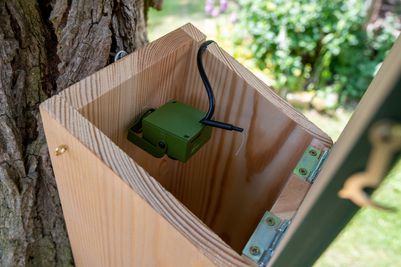 Nest Box with Camera