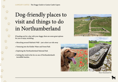 One of the pages in the Langley Castle 'Doggy Guide to Canine Castle Capers',