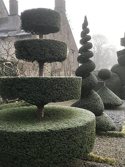 Topiary at Levens Hall, Cumbria, UK