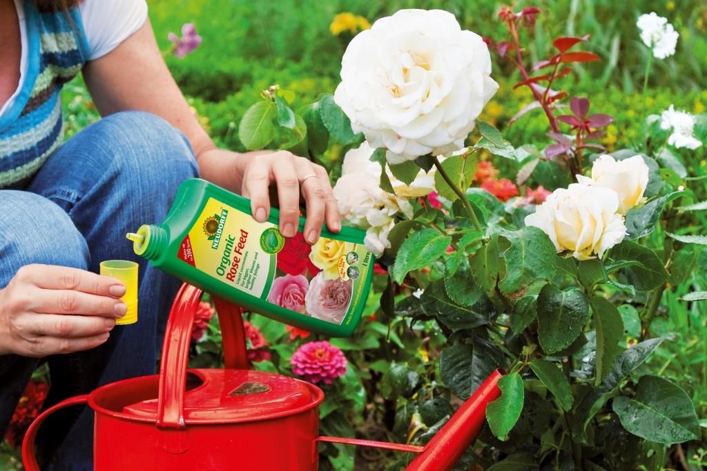 Neudorff Organic Rose Feed.jpg