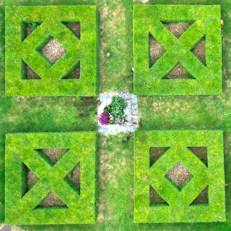 Paul Everden - First Place in UK Home Gardener Category