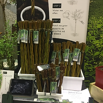 Willow Wand's new trade display unit.jpeg